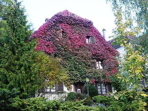 Chambres d'hôtes en Alsace, Ferrette dans authentique maison de charme