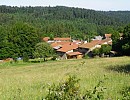 Gite rural en Puy de Dôme, Auvergne - Coquet gite avec piscine