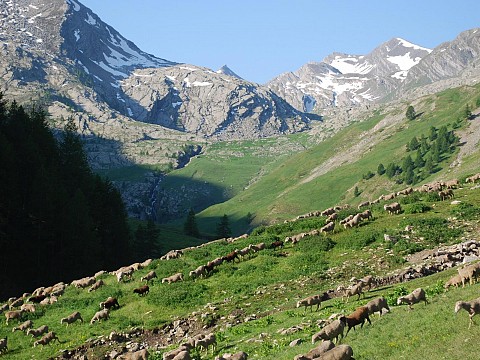 Gîte de montagne Vallée de l'Ubaye Alpes du Sud