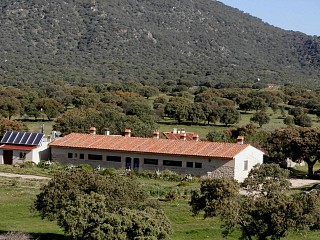 locations vacances Chambre d'hôtes Extremadura Campagne à ALMOHARIN - Cáceres