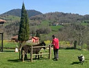 Gite rural en Asturias - Apartamentos rurales La Quintana de Romillo