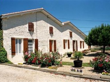 Au Puits des Brousses - Chambres dans les vignes à Chérac