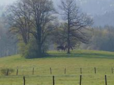 Au cœur des lacs du Jura, proche Cascade du Hérisson - Maison d'Agathe