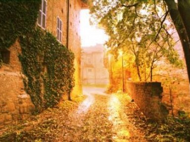 Location vacances dans le Piémont, Italie à Brusasco - I girasoli