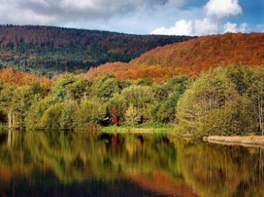 Le magique plateau d'Aubrac - Gîte en Aveyron à Saint Chély d'Aubrac