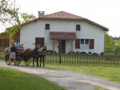 Maison d'hôtes de campagne dans les Landes d'Armagnac