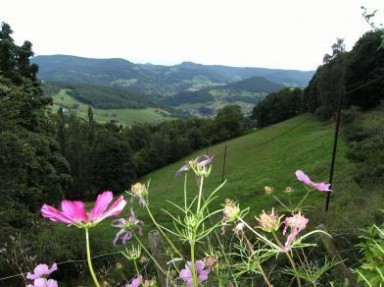 Gîte de la Chèvrerie du Bambois - Alsace, Haut Rhin à Lapoutroie