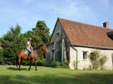 Les Pins - Un gîte de charme au cœur de la Touraine en Indre-et-Loire