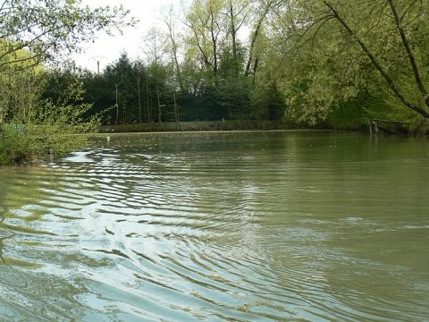 La Maison de l'Etang -Gite face à l'étang privé de la propriété, Meuse