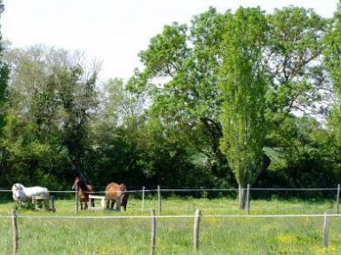 Location gîte en Vendée, bord de mer, dans la nature au calme