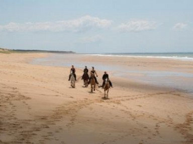 Location gîte en Vendée, bord de mer, dans la nature au calme