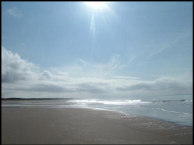 Location gîte en Vendée, bord de mer, dans la nature au calme