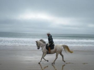 Gîte Vendée, proche des plages et Jard sur Mer, à la campagne au calme