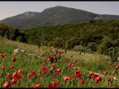 Grand gîte de caractère en pleine nature au cœur des Corbières - Aude