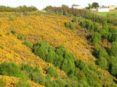 Gite rural en Galice, sur le Chemin de St Jacques - Casa da Bastida