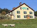 Vosges - Location gîte de groupe de 15 à 26 personnes à Ventron