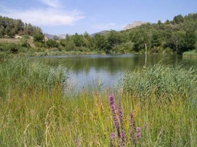 Les gîtes du Domaine de La Gardette - Drôme, proche Vaison la Romaine