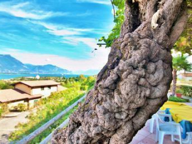 En Lombardie, B&B au Lac de Garde, avec piscine à Manerba del Garda