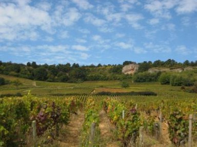 Gîte à 12 km de Chalon - Bourgogne Sud - 71