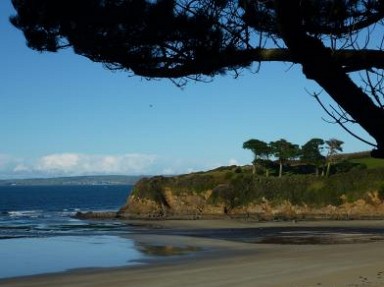 Sud Finistère - Proche de Douarnenez, gîte à Landudec, proche mer