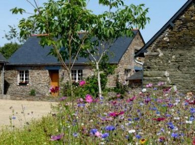 Gite 4 épis à Saint Igeaux (22) Kreiz Breizh au cœur de la Bretagne