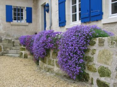 Chambres d'hôtes à Bitry dans l'Oise, cadre verdoyant près de Soissons