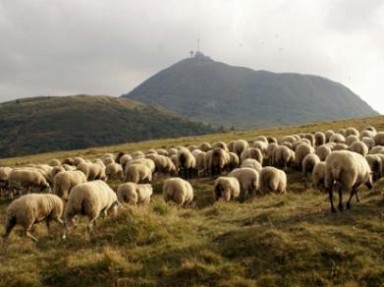 Gîte Puy de Dôme, 6 pers modulable pour 2 à 6 pers près St Nectaire