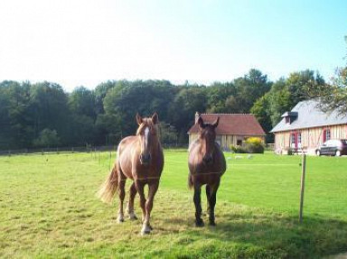 Gîtes de la Ferme de la Calèche en Pays d'Auge - Calvados