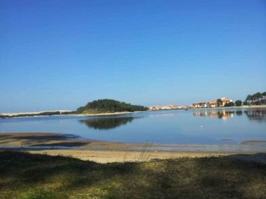 Gîtes Landes, près de Vieux Boucau : plage océane, piscine chauffée