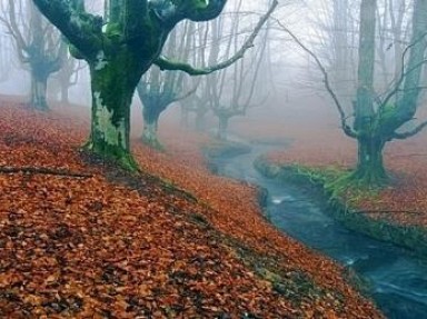 Chambres d'hôtes Pays Basque espagnol, proches Bilbao et St Sébastien