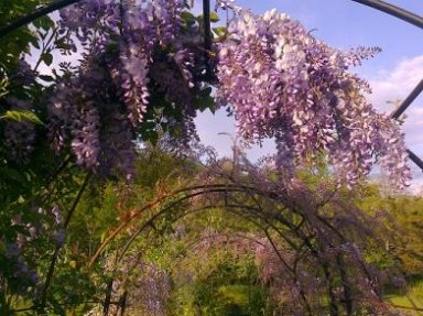 Gîte Gironde avec piscine, spa à Génissac, tout confort, grand jardin