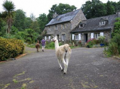 Le charme d'un ancien moulin à eau - Finistère, proche Landerneau