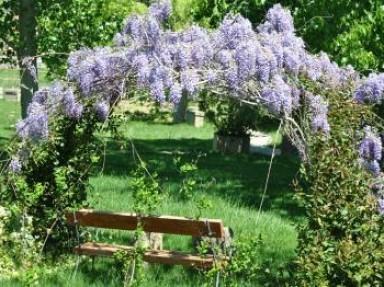 Location Tura à Ayerbe, Huesca, Aragon - Jardin 3000 m² avec piscine