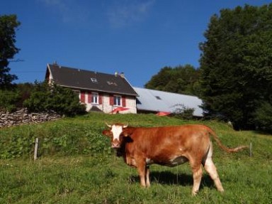 Gîte d'étape et de séjour, gîte de groupe à Rencurel dans le Vercors