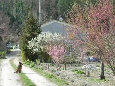 Gîtes à Saillans dans la Drôme entre le Vercors et la Drôme Provençale