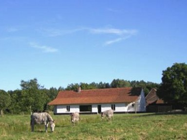 Aux Feuillantines - Maison d'hôtes dans le Marais Audomarois