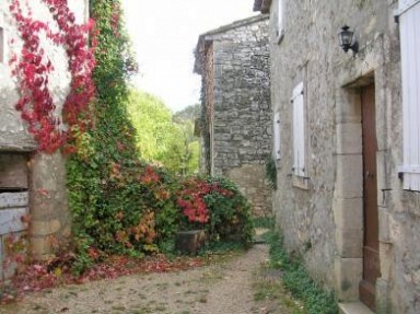 Les Laurons - Gites en Luberon, Vaucluse à Caseneuve à 10 km d'Apt