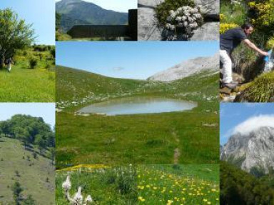 Gite rural Aragon, Pyrénées espagnoles à Fago - Casa rural Quilero