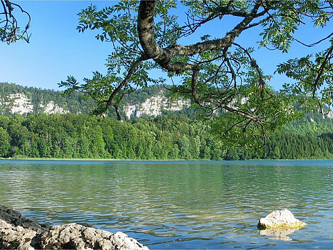 Les 5 lacs, chambres et table d'hôtes, chalet-gîte dans le Jura