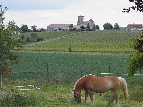 Gîte en Charente-Maritime à Jarnac Champagne, proximité Jonzac Cognac