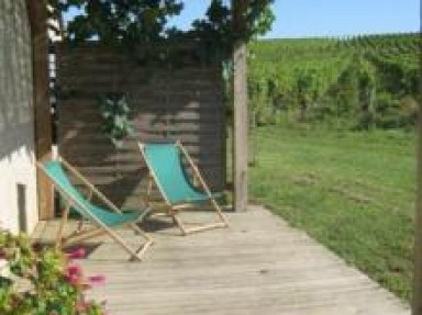 Vacances dans le vignoble à Sauternes - Gironde