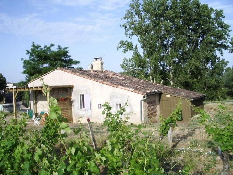 Vacances dans le vignoble à Sauternes - Gironde