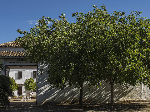 Gîte Andalousie avec piscine, court tennis et jardins - La Casa Arabe