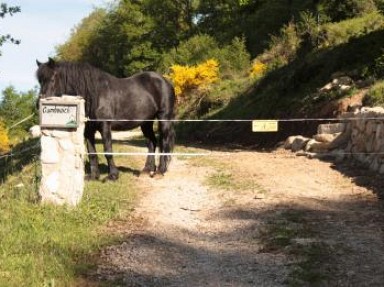 Gîte de montagne isolé Ariège - Grange de Cambouich