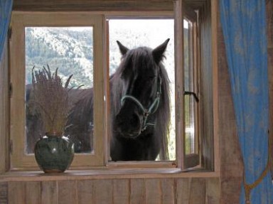 Gîte de montagne isolé Ariège - Grange de Cambouich