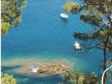 Chambre d'hôtes à La Ciotat, quartier résidentiel - Bouches du Rhône