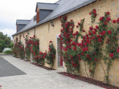 Gite de groupe avec piscine d'intérieur, Mayenne