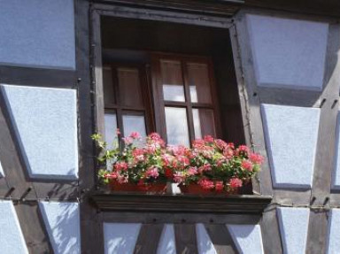 Location Haut Rhin, joli gîte à Kaysersberg en Alsace