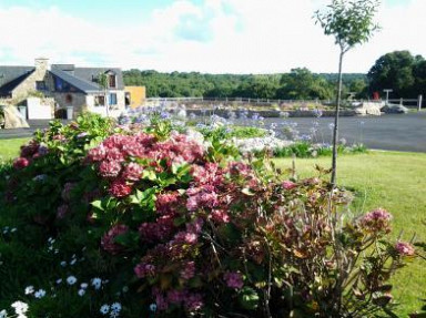 Gîte à la mer et campagne à Paimpol en Bretagne - Île de Bréhat