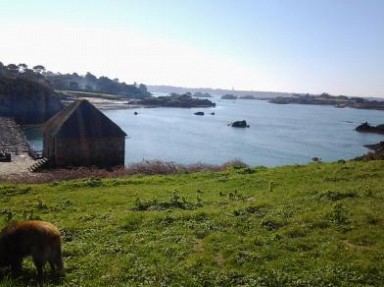 Gîte à la mer et campagne à Paimpol en Bretagne - Île de Bréhat